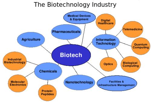 Which are the courses available after doing BSc in Biotechnology?