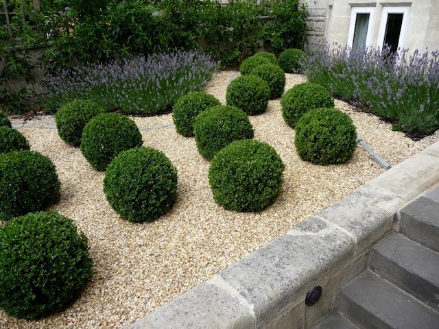 bella terra glorious gravel gardens bella terra glorious gravel gardens