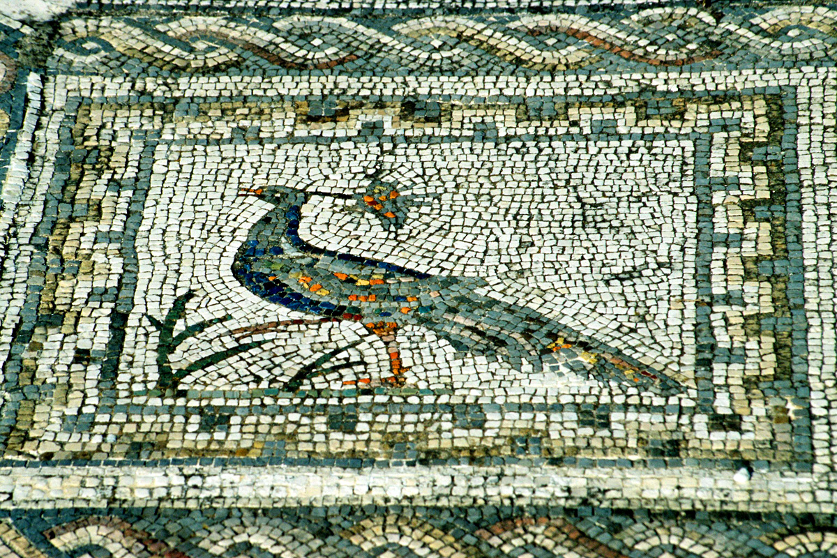 THE BIRDS' by Aristophanes [414 BC] (With images) Roman mosaic
