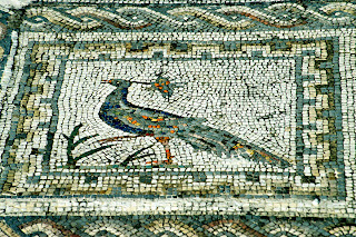 taking flight a history of birds and people in the heart of america ebook journeys the joie de vivre people birds a taking flight a history of birds and people in the heart of america ebook journeys the joie de vivre people birds a