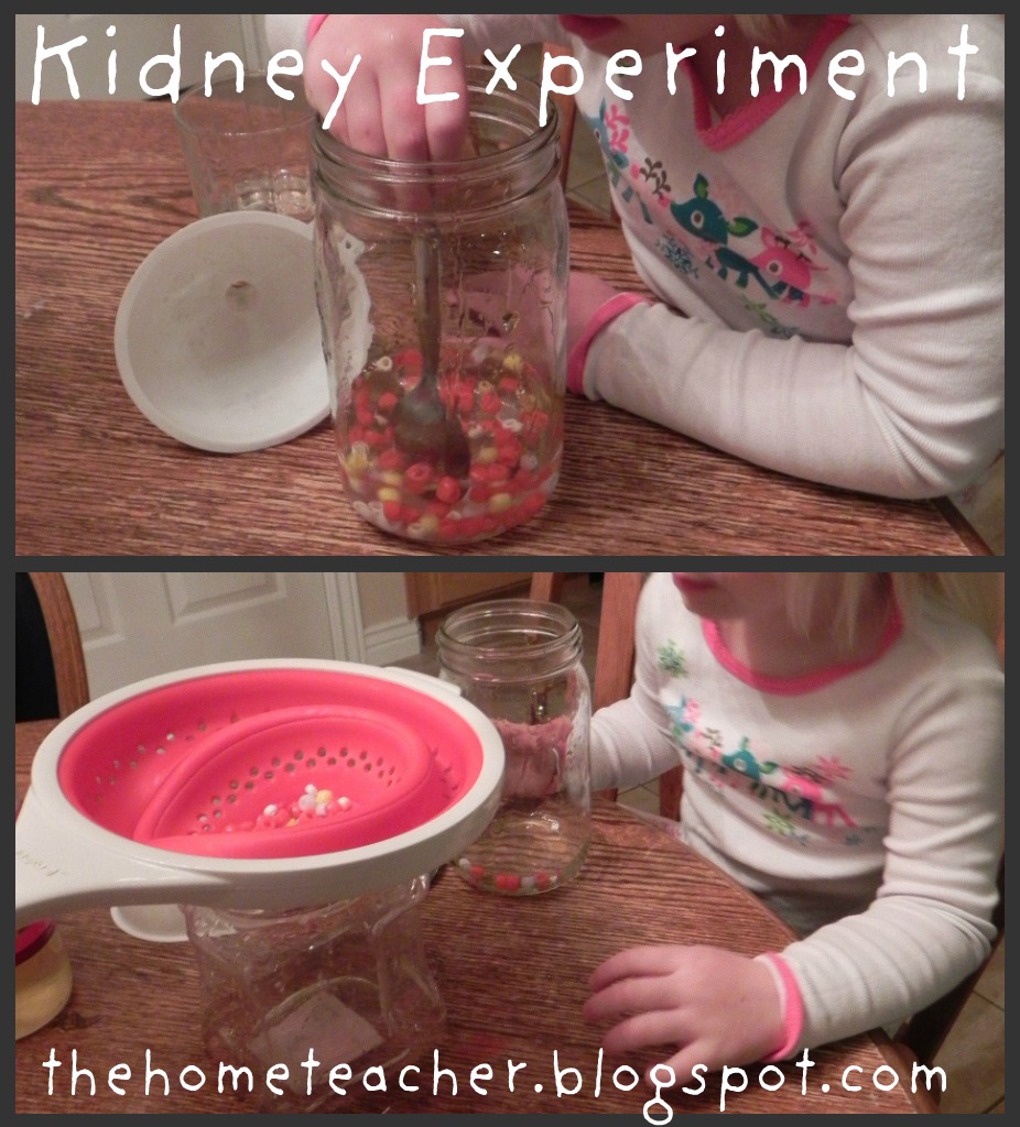 Water is our life essay in english picture