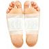 Foot Pads For Detoxifying | How Do Detox Foot Patches Work ?