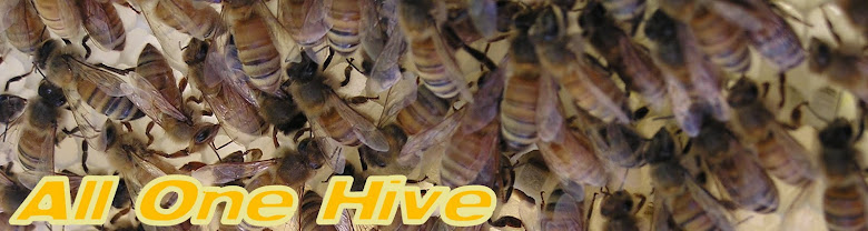 All One Hive
