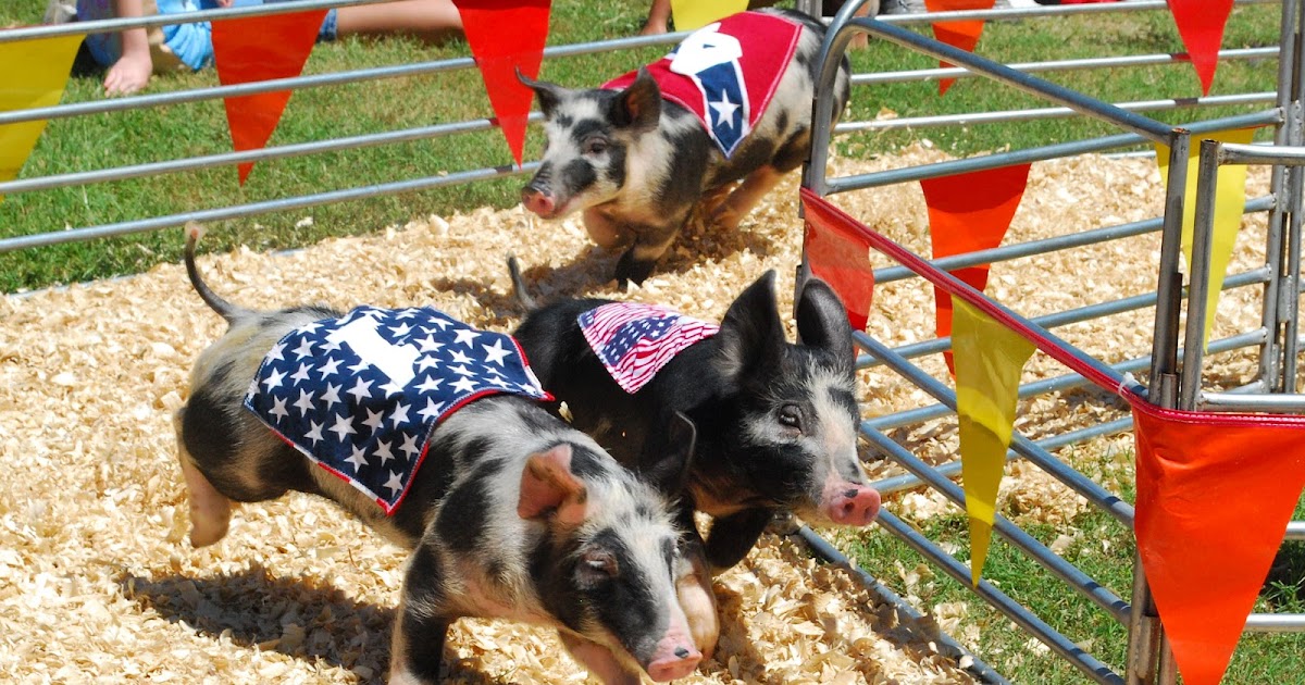 Terrell Daily Photo Ham Bone Express