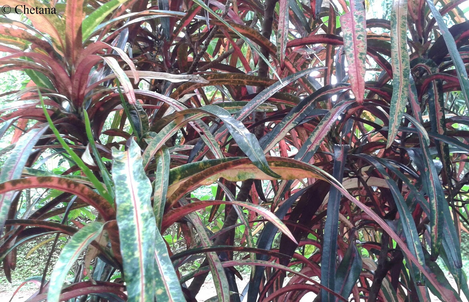 Prayanika The Journey ******* The Beautiful World Of