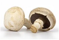 Champignon Champignon