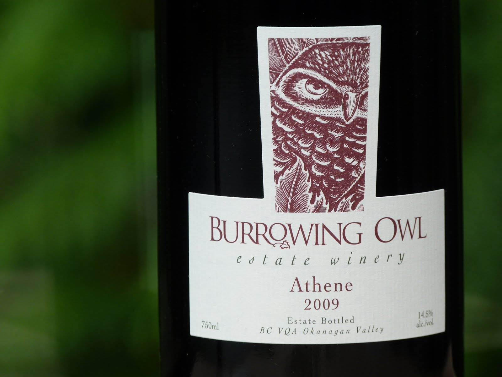 John Schreiner on wine Burrowing Owl's new Athene and Franc wines
