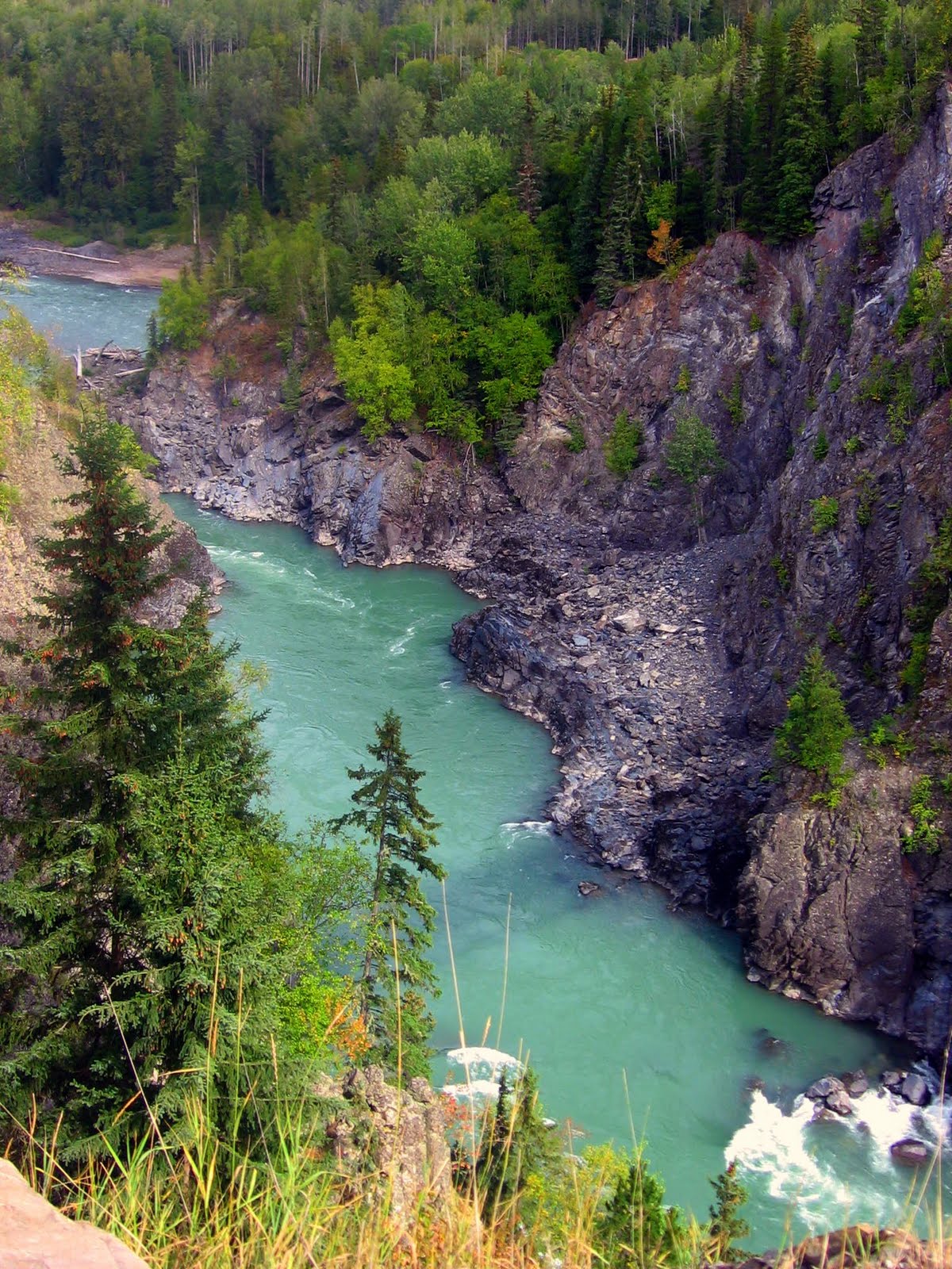 Random Mooneye's Hazelton, BC, CANADA