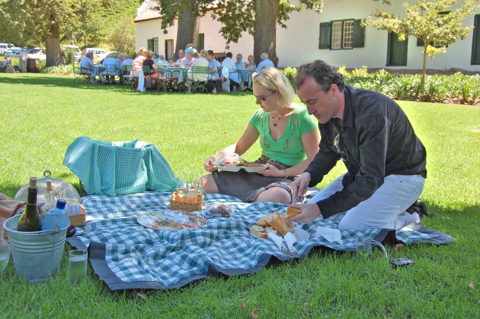 . Wine farm picnics in the Western Cape