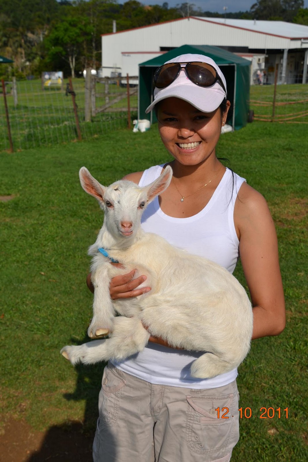 Jaded Nomad RV ADVENTURE Maleny Dairy