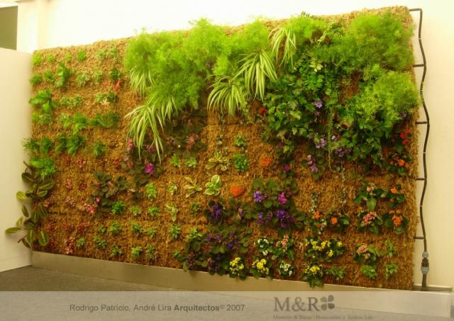 jardim vertical xaxim: bom gosto, assim como as plantas que você gostaria de ter no jardim jardim vertical xaxim: bom gosto, assim como as plantas que você gostaria de ter no jardim