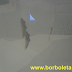 Como criar uma Borboleta - 13°, 14° e 15° Dia