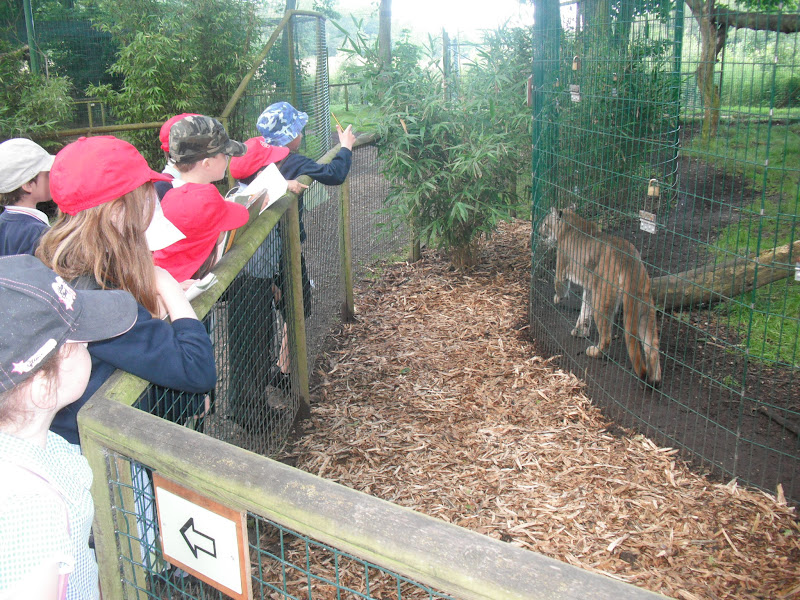 Cromer Junior School Year 3 visit the Cromer Amazona Zoo