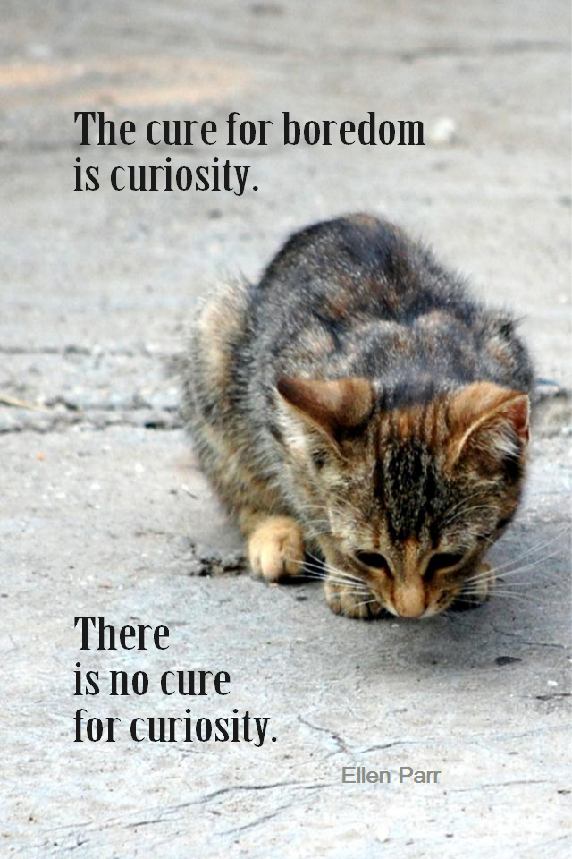 visual quote - image quotation for ENTHUSIASM - The cure for boredom is curiosity. There is no cure for curiosity. - Ellen Parr