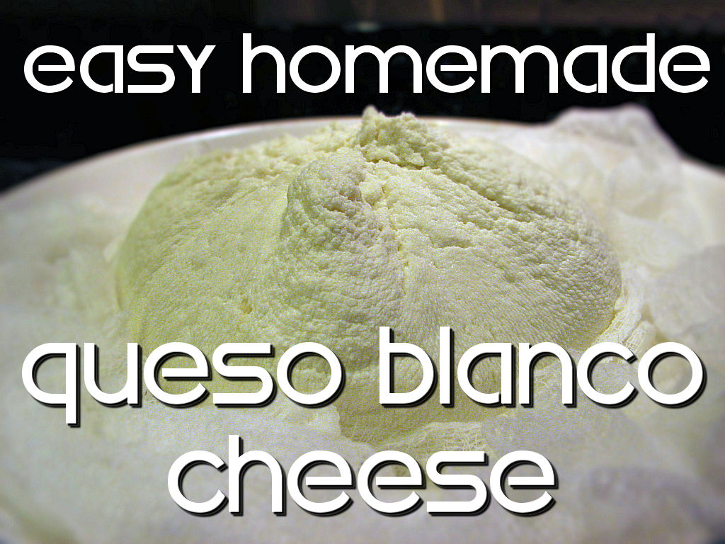 Homemade Queso Blanco Cheese and Cheese Sauce Missie's Kitchen