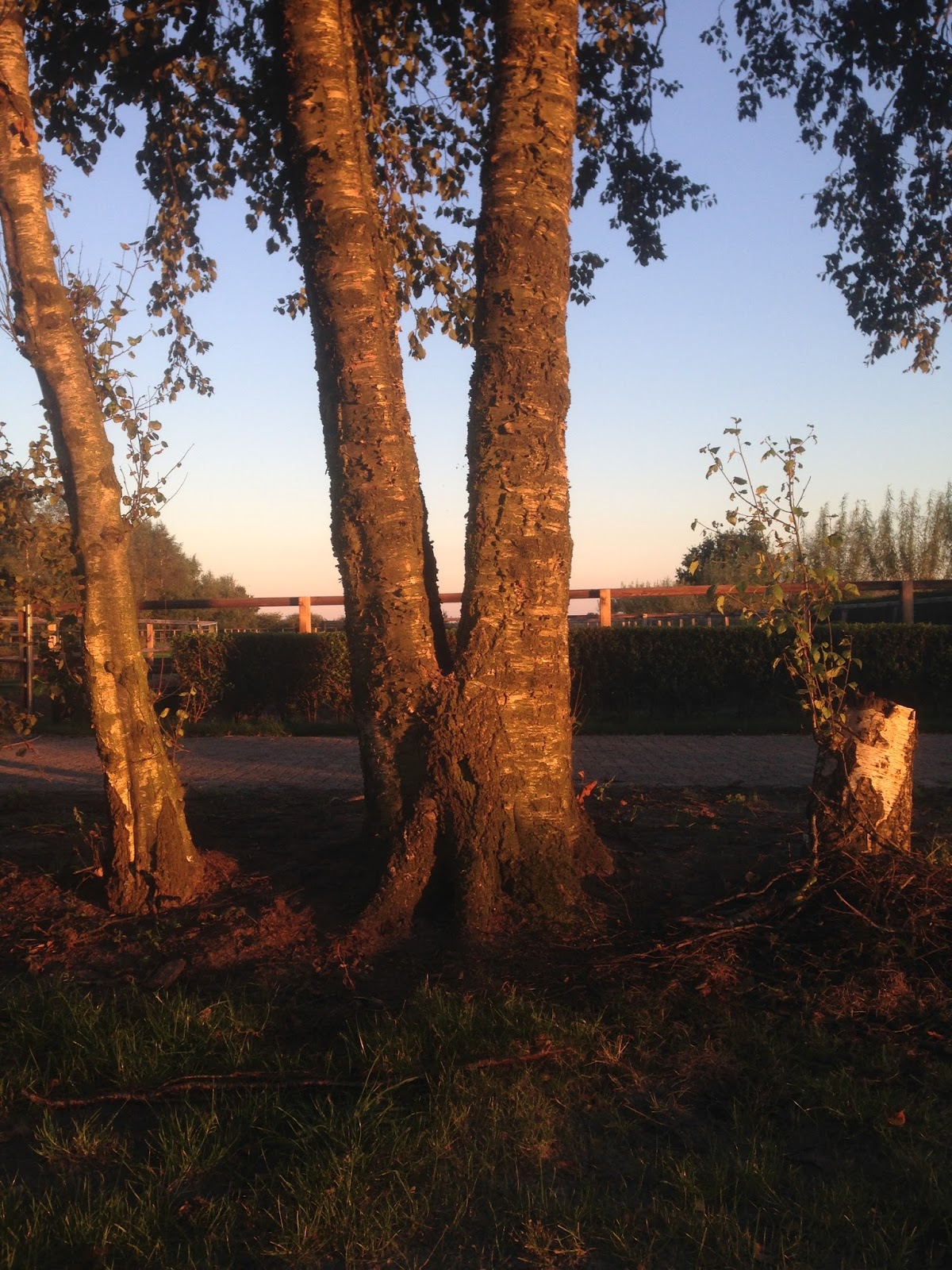 Boerderij zinin: september 2015