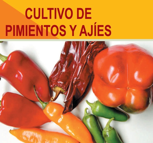 Cultivo de Pimientos y Ajíes