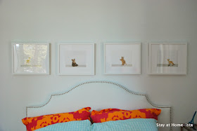 Animal Print Shop baby animal prints over a bed