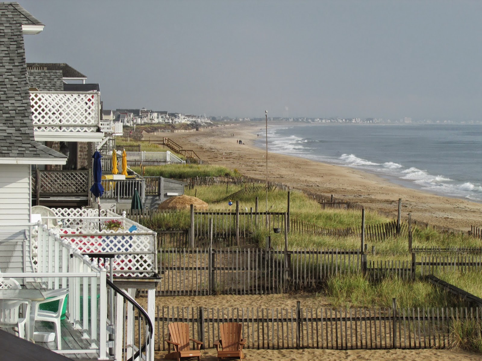 Does Salisbury Beach Allow Dogs