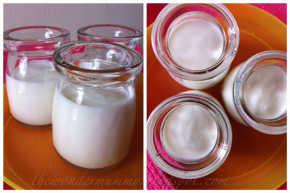 The Wonder Mummy: Homemade Bread Machine Yogurt with the Joyoung Bread