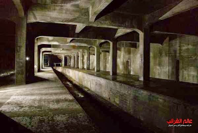 أماكن غريبة، عالم العجائب