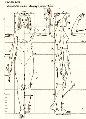 Ideal+ody+proportions proportions of body. Ideal+ody+proportions