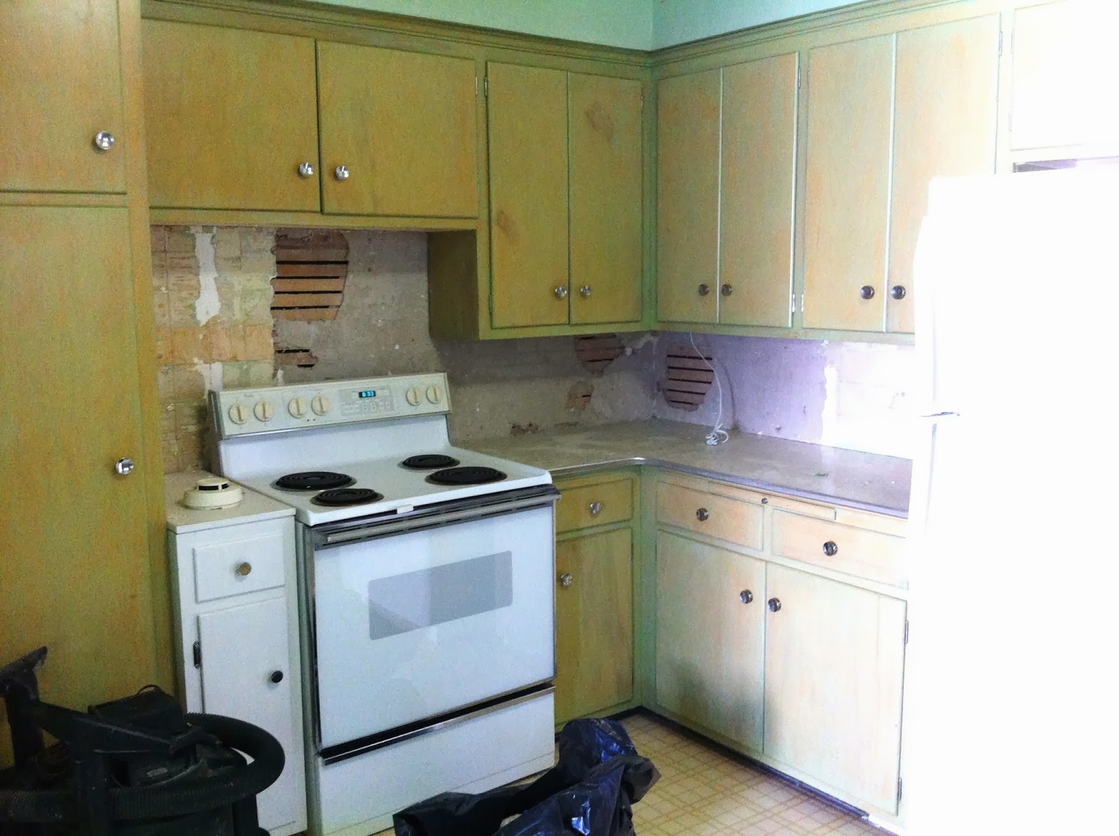 Kitchen Cabinet Removal Elz Design
