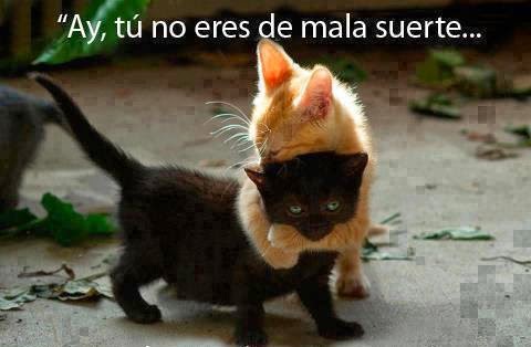 frases de apoyo frases de apoyo