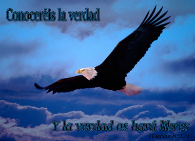 Postales y tarjetas de imagenes con tiernos mensajes de amor y amistad ...