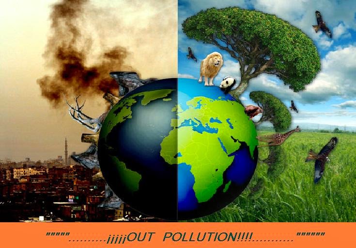 scienceeducationathirarejin Protect our Environment