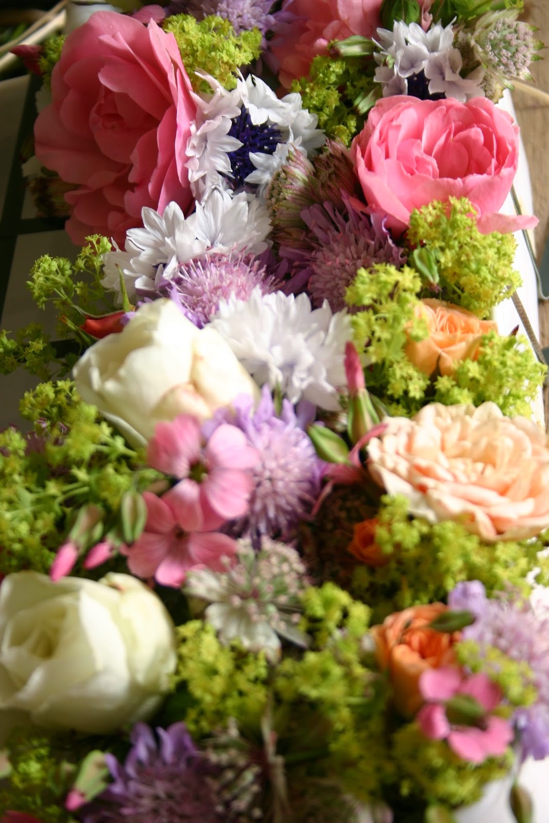 Common Farm Flowers The Flower Farmer British flowers by post