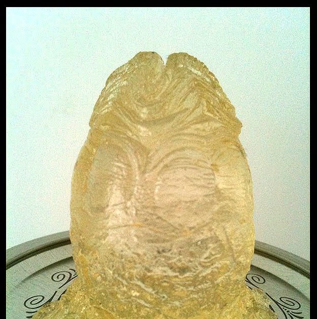 JIMSMASH ! ! ! GELATINOUS ALIEN EGG