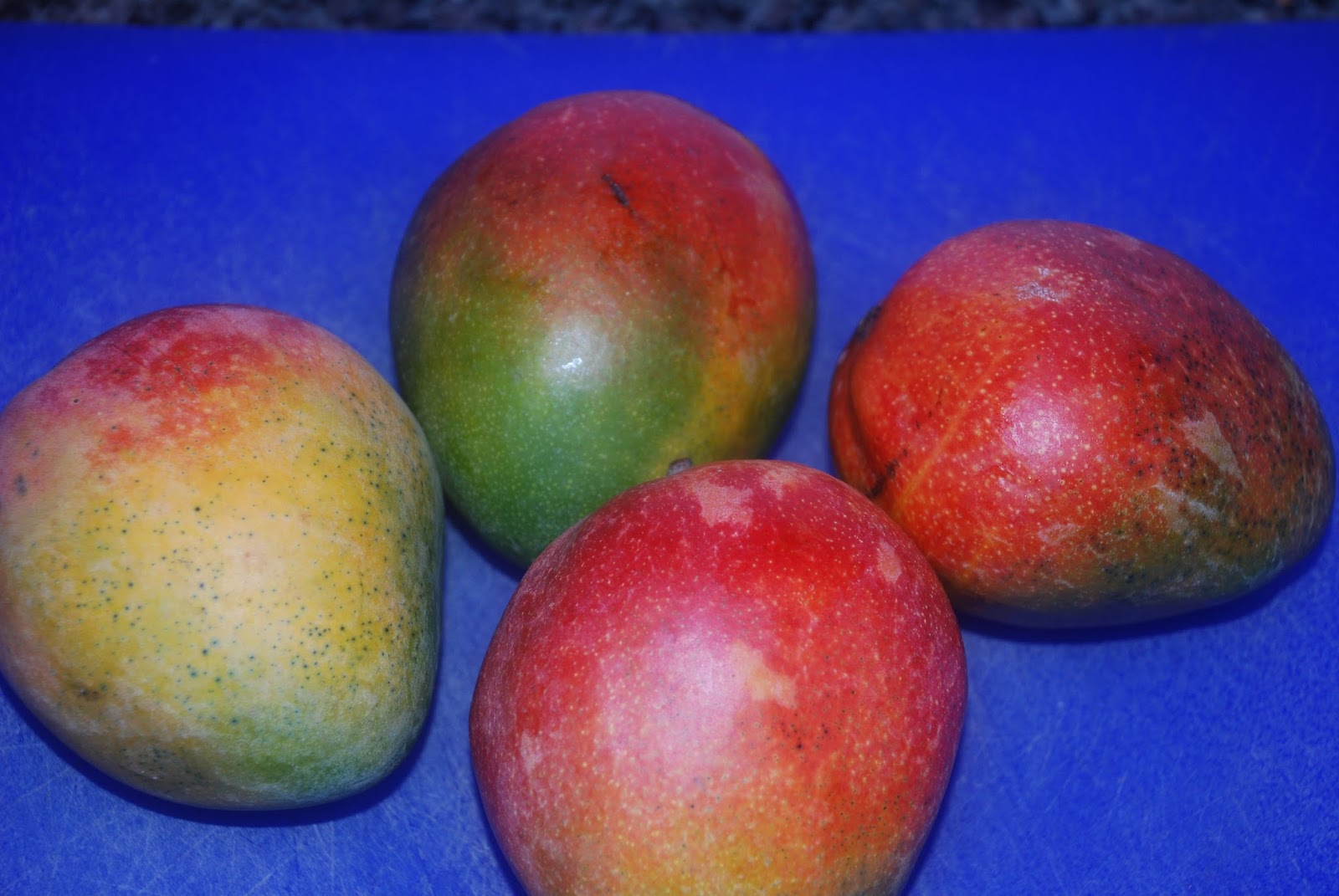 tomatoes on vine learning preserve mango chutney tomatoes on vine learning preserve mango chutney