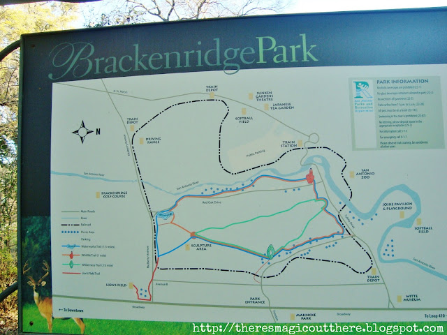 A scenic view of Brackenridge Park