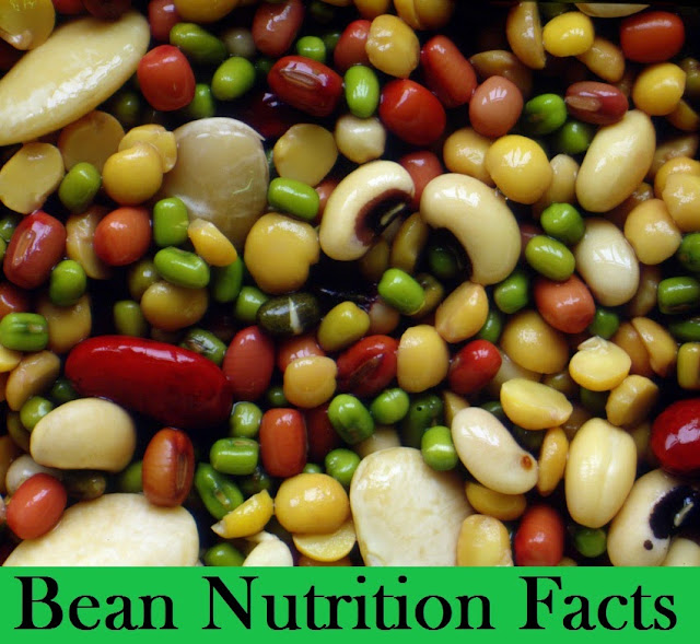 Bean Nutrition Facts SkinnyZine