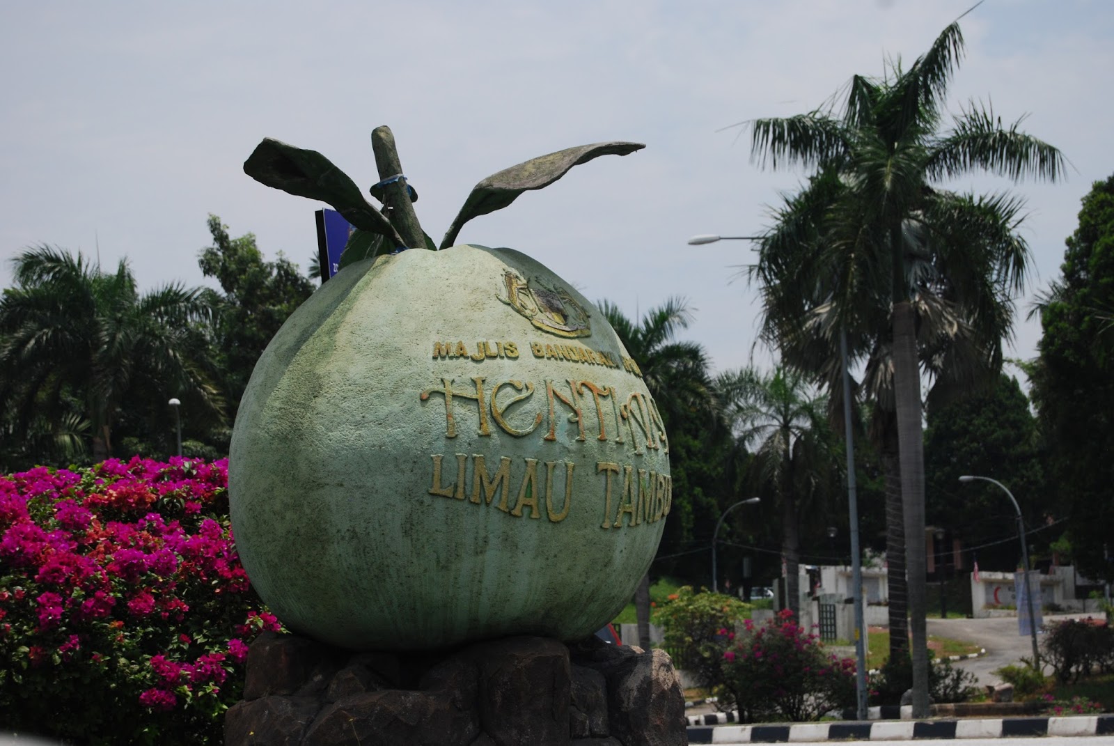 Ersatz Expat Pomelos Ipoh's Famous Fruit