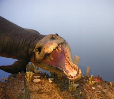 Shastasaurus