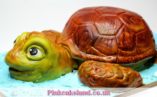 Turtle 3D Birthday Cake in London