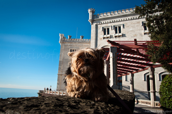 Castelo de Miramare Trieste