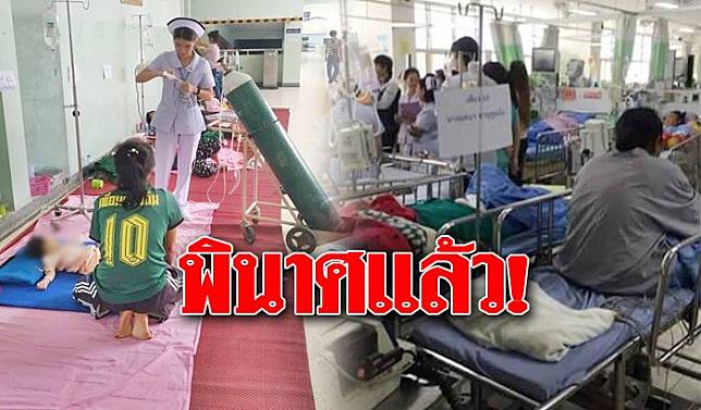 Study To (Do) ดอกไม้หน้าเมรุ ราคา Pantip Like A Professional