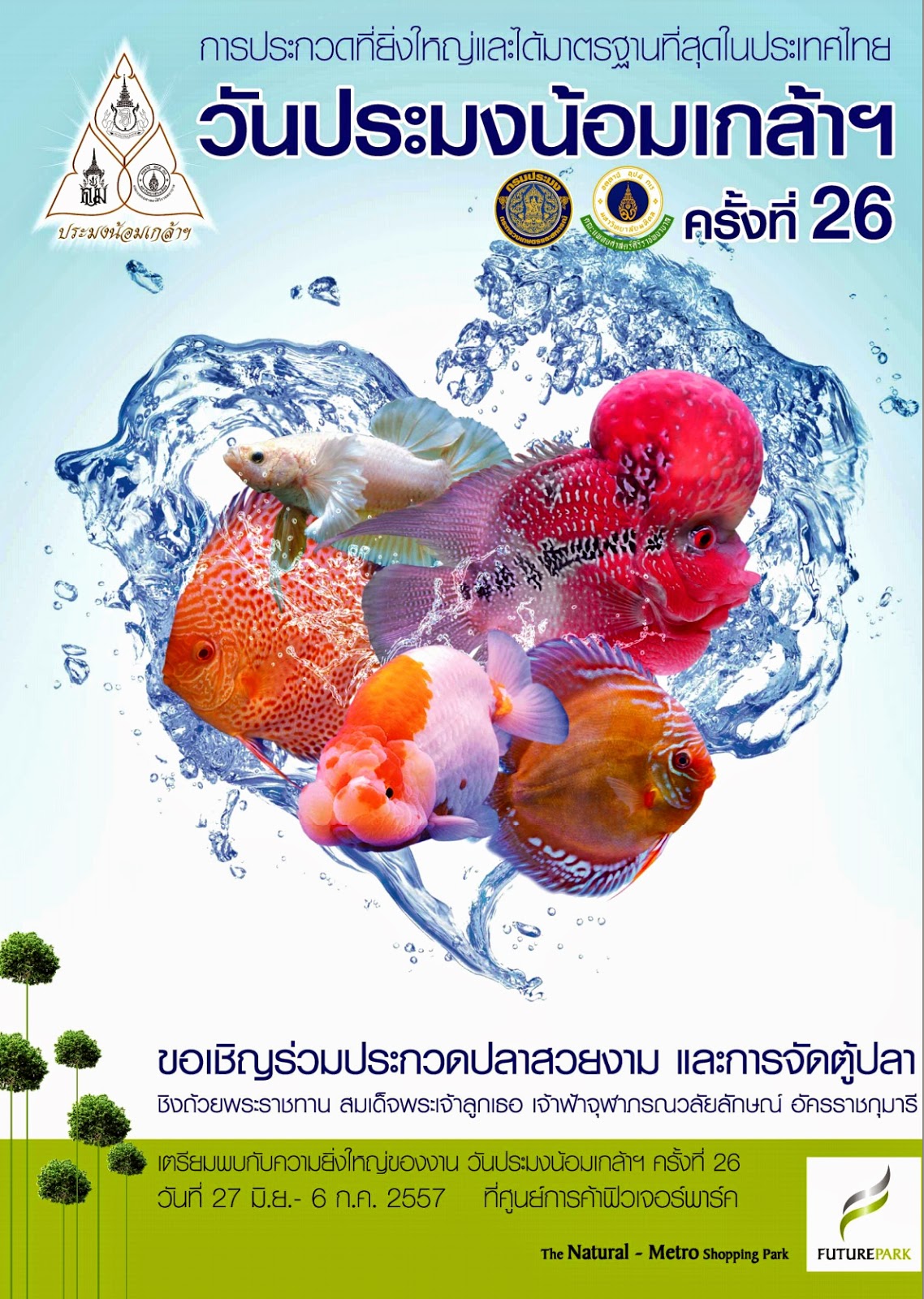 ประกวดปลาสวยงาม งานวันประมงน้อมเกล้า 2557 ฟิวเจอร์พาร์ค รังสิต ประกวดปลาสวยงาม งานวันประมงน้อมเกล้า 2557 ฟิวเจอร์พาร์ค รังสิต