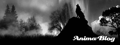 Anima-Blog