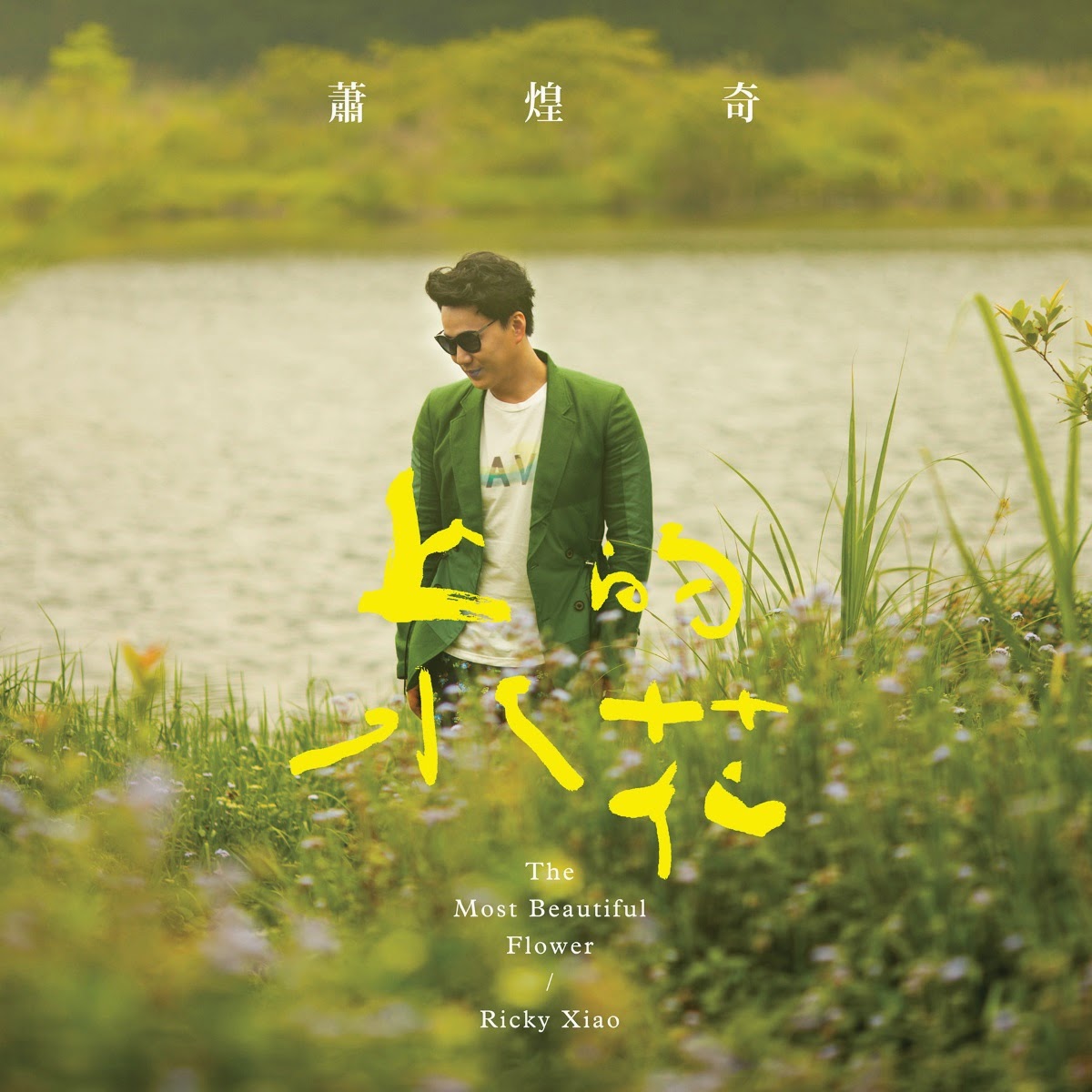ricky hsiao most beautiful flower ihonhon ricky hsiao most beautiful flower ihonhon