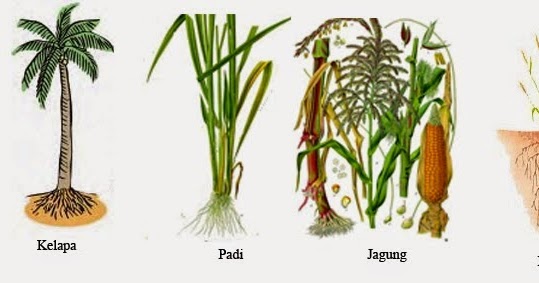 Tugas Bahasa Indonesia Membuat Laporan Mengenai