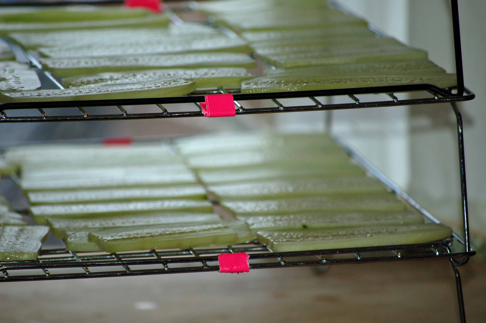 Dehydrating Way Beyond Jerky A Makeshift Dehydrator