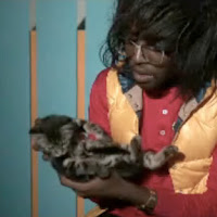 Show Me Yours I Ll Show You Mine Lightspeed Champion Midnight Surprise show me yours i ll show you mine lightspeed champion midnight surprise