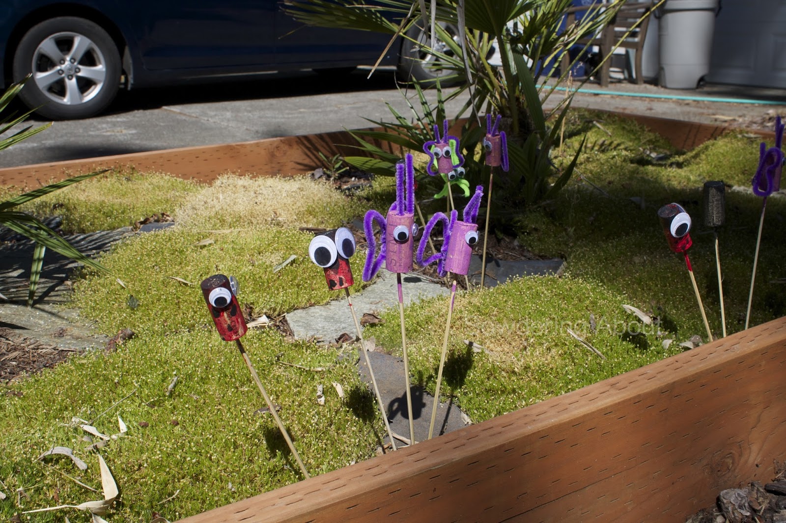 Sowdering About Garden Cork Bugs