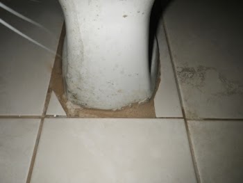Tiling job around toilet tiling-fail