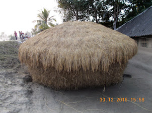 "RICE STORAGE HOUSE" in Pakharala village.