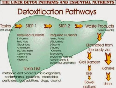 Detoxing Meaning In Urdu